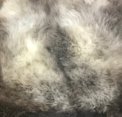 Wool light coloured single