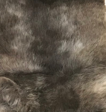 Wool light coloured single